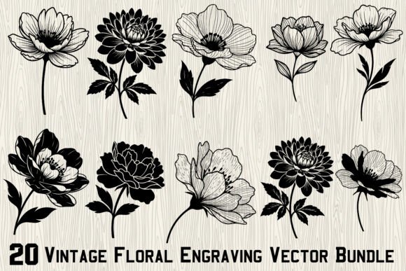 20Vintage Floral Engraving Vector Bundle: Premium Graphics and Illustrations for Branding