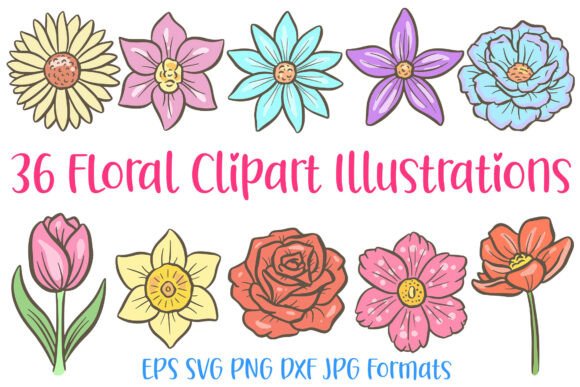 36 Floral Wildflower Flower Illustration Graphics and Illustrations Review