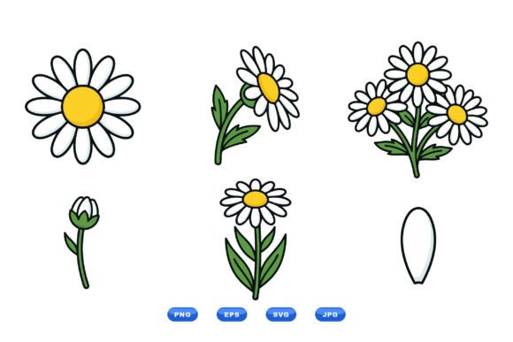 Daisy Floral Clipart Pack: Graphics and Illustrations for Digital Sellers