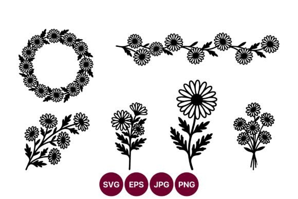 Floral Vector Set with Daisies and Graphics for Illustrations