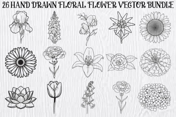 Hand Drawn Floral Flower Bundle Graphics and Illustrations Review