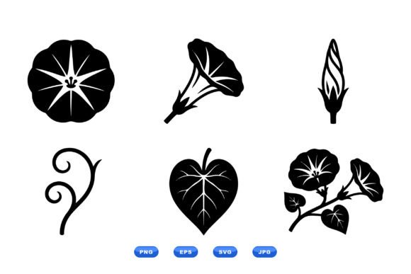 Morning Glory Floral Clipart Graphics and Illustrations Review