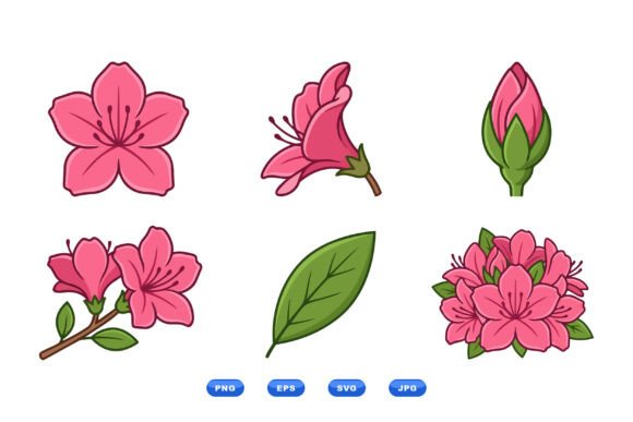 Pink Azalea Floral Clipart Graphics and Illustrations Review