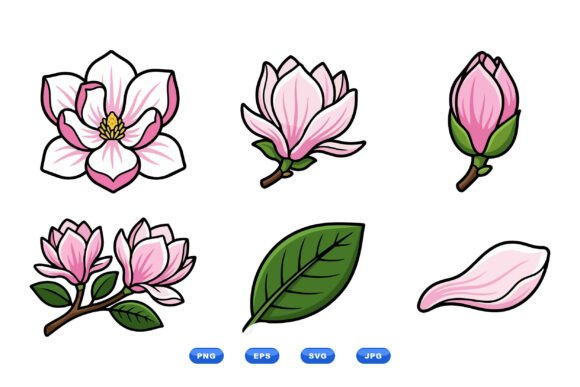 Pink Magnolia Floral Clipart Set: Graphics and Illustrations for Content