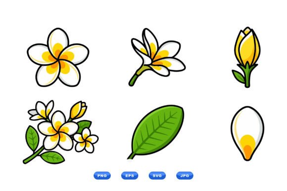 Plumeria Floral Clipart Pack: Graphics and Illustrations for Sellers