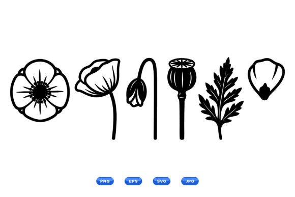 Poppy Floral Clipart Set: Modern Graphics and Illustrations for Local Branding