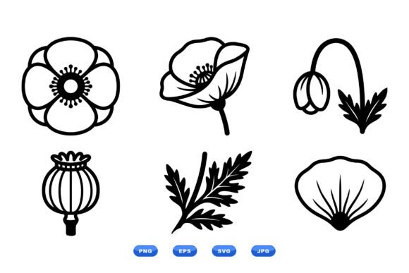 Poppy Floral Icon Clipart Graphics and Illustrations Review