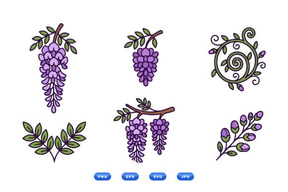 Purple Wisteria Floral Clipart Graphics and Illustrations Review